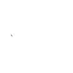 Meta